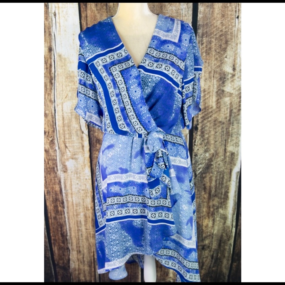 Parker Blue Fiesta Printed Dress